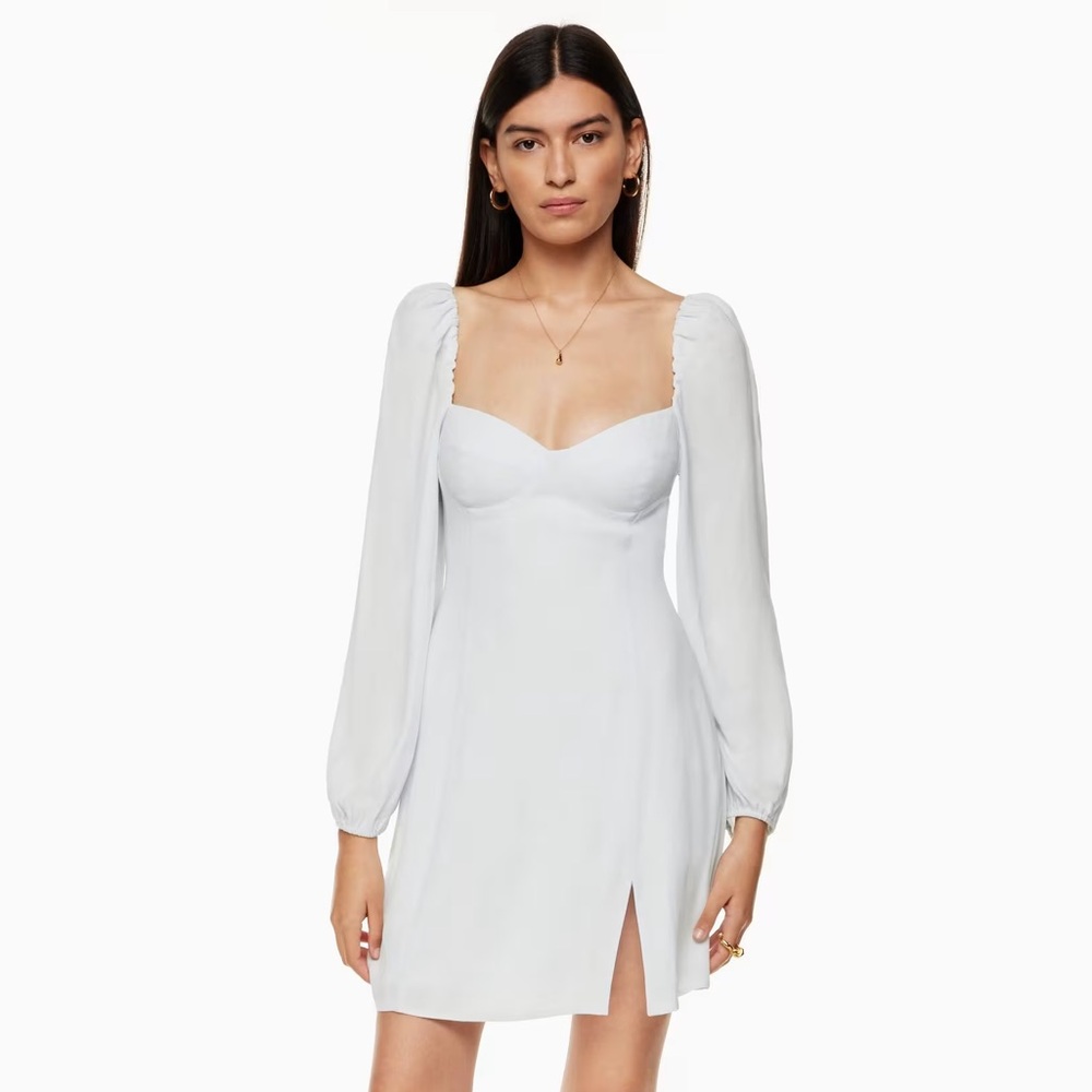 Aritzia Novella Dress